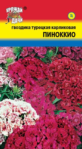 Семена Гвоздика (Урожай удачи) Пиноккио турецкая