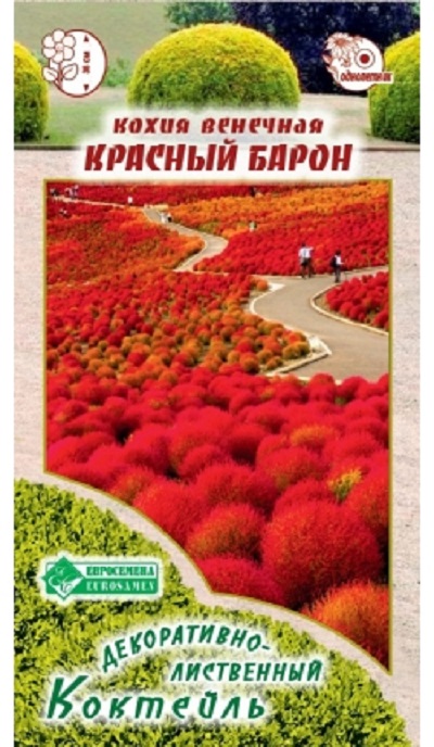 Семена Кохия (Eurosamen) Красный Барон 0,3г