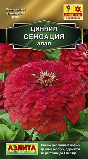 Семена Цинния (Аэлита) Сенсация алая 12шт