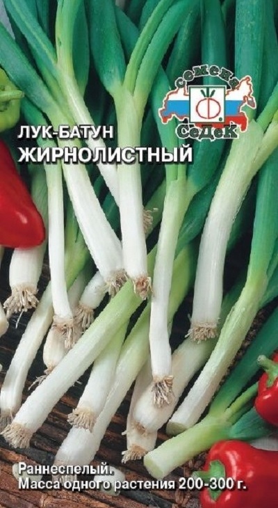 7295f6378c20bee9767cec643b88e749