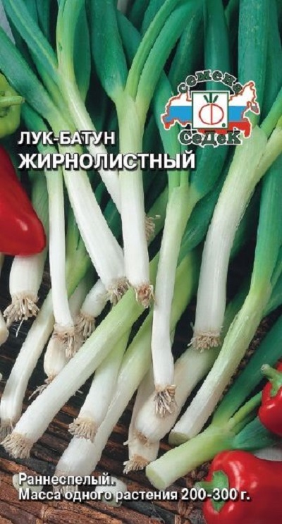 Семена Лук Жирнолистный (Седек) батун 1гр