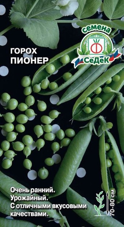 Семена Горох Пионер (Седек)