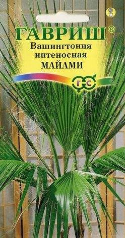Семена Пальма Вашингтония (Гавриш) Майами