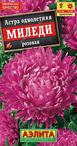 Семена Астра (Аэлита) Миледи Розовая