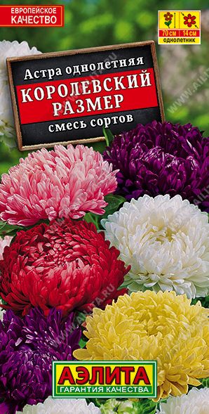 Семена Астра (Аэлита) Королевский размер смесь 0,1г