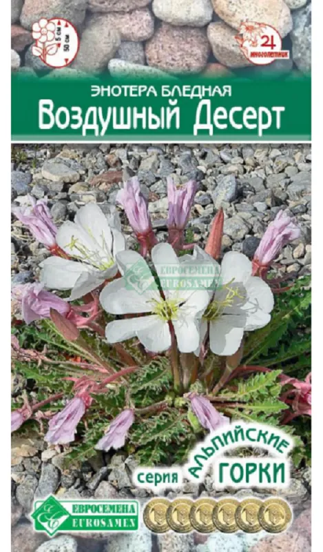 Семена Энотера (Eurosamen) Воздушный десерт