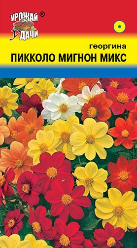 Семена Георгина (Урожай Удачи) Пикколо Мигнон Микс