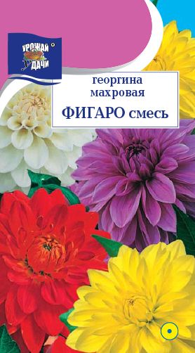 Семена Георгина (Урожай Удачи) Фигаро смесь 0,2г