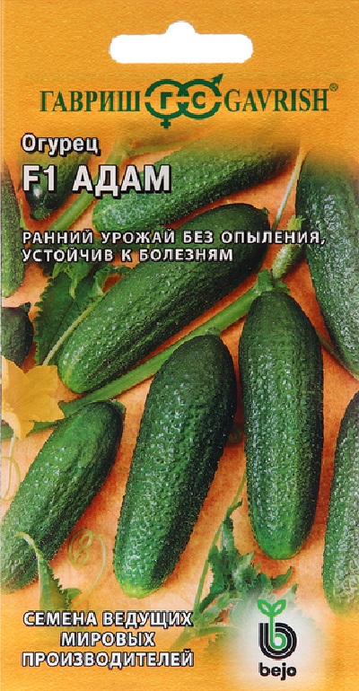 Семена Огурец Адам (Гавриш) 5шт