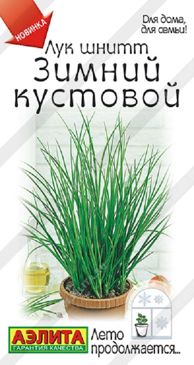 Семена Лук шнитт Лук Зимний кустовой (Аэлита) шнитт  0,3гр