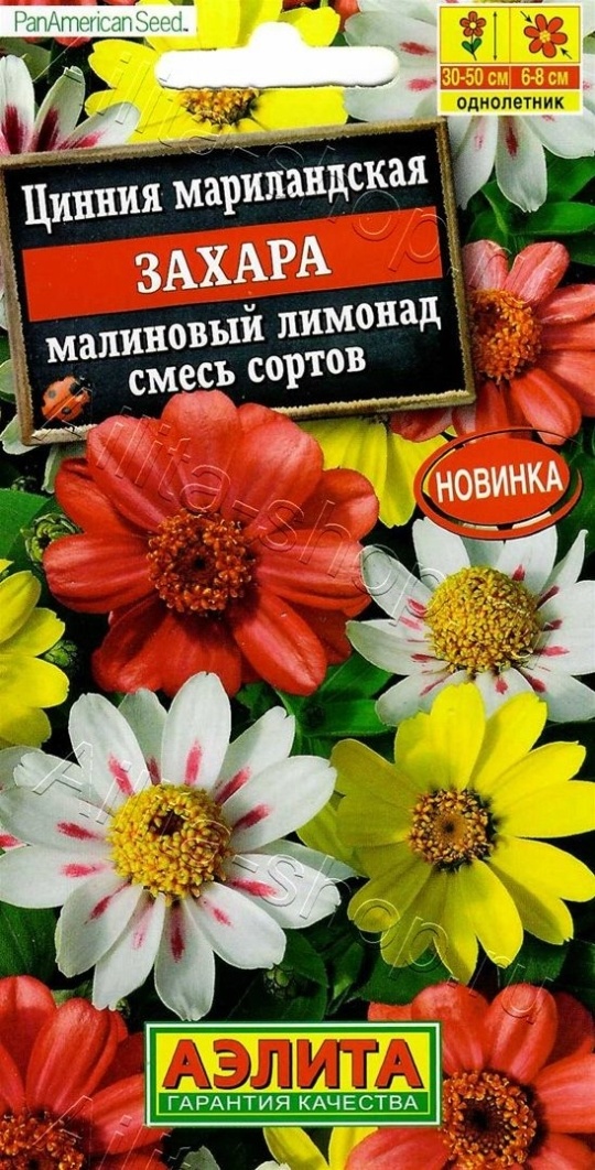 Семена Цинния (Аэлита) Захара малиновый лимонад 5шт