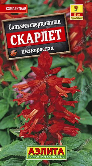 Семена Сальвия (Аэлита) Скарлет  0,1г