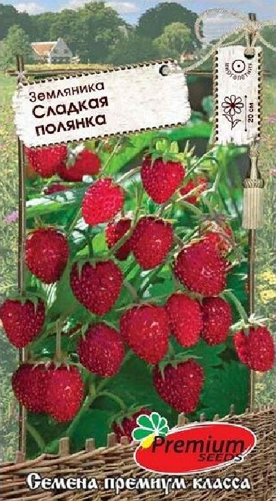Семена Земляника Сладкая полянка (П.Сидс) 0,04г