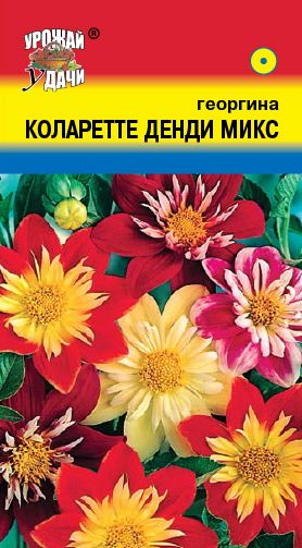 Семена Георгина (Урожай Удачи) Коларетте Денди Микс 0,2гр.