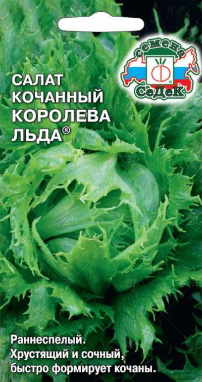 Семена Салат Королева льда (Седек)