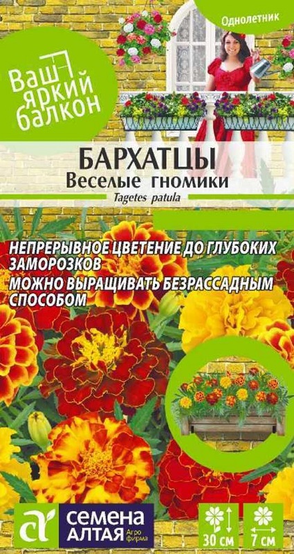 Семена Бархатцы Веселые гномики (Семена Алтая) 0,2гр