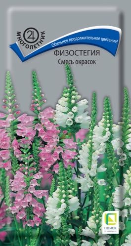 Семена Физостегия (Поиск) Смесь окрасок 0,1гр