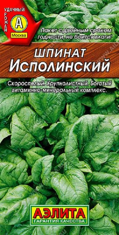 Семена Шпинат Исполинский (Аэлита) 3г