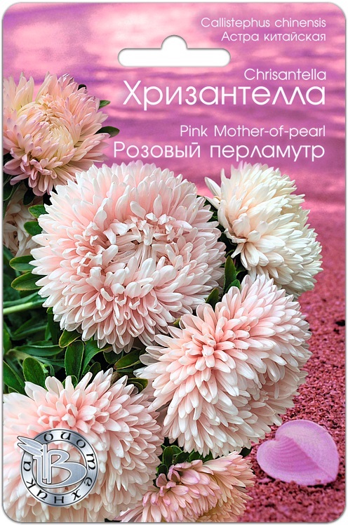 Семена Астра (Биотехника) Хризантелла Розовый перламутр 30шт