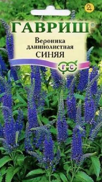 Семена Вероника (Гавриш) синяя