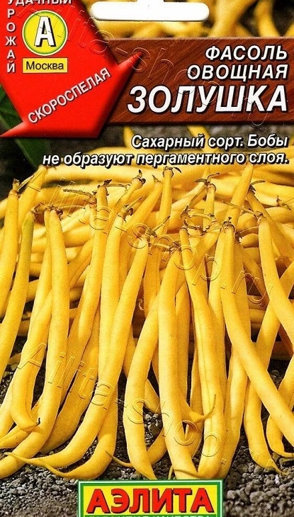 82e8e5f6e81b7211dd62d00898f89fad