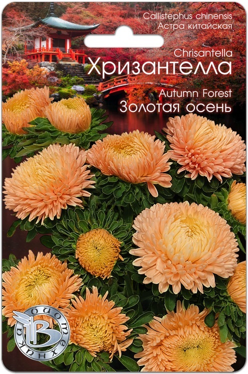 Семена Астра (Биотехника) Хризантелла Золотая осень 30шт