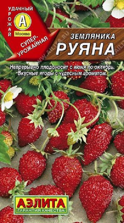 Семена Земляника Руяна (Аэлита) 0,04г