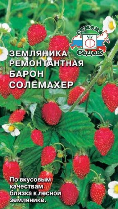 Семена Земляника Барон Солемахер (Седек) 0,04г