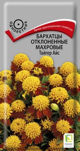 Семена Бархатцы Тайгер Айс (Поиск) 0,4гр