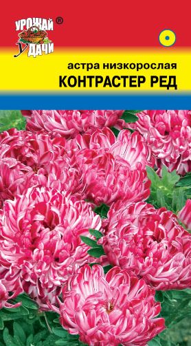 Семена Астра (Урожай Удачи) Контрастер Ред 0,1г
