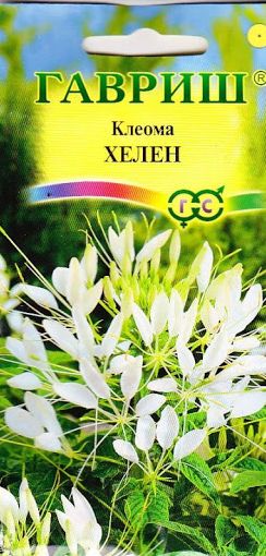 Семена Клеома (Гавриш) Хелен 0,2гр