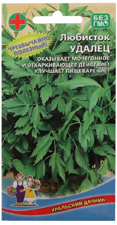 Семена Любисток Удалец (УДачник)