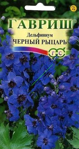 Семена Дельфиниум (Гавриш) Черный рыцарь
