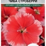 88ddc2e56fcad0ad64e97892ee7f6182