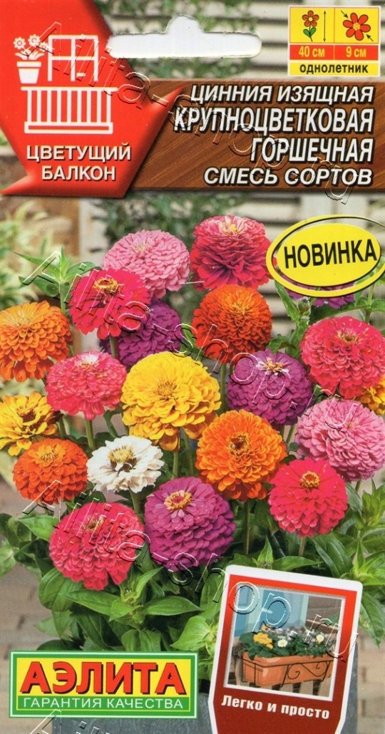Семена Цинния (Аэлита) Крупноцветковая горшечная смесь 12шт