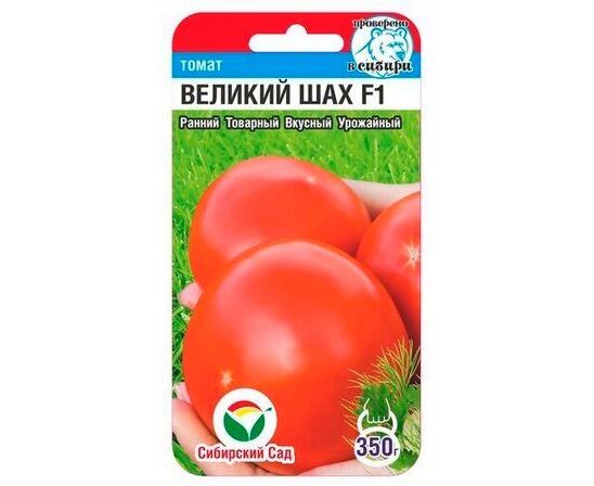8c62c02cc173a7878cafeeb1696b168e
