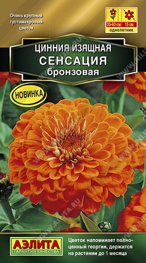 Семена Цинния (Аэлита) Сенсация бронзовая 12шт