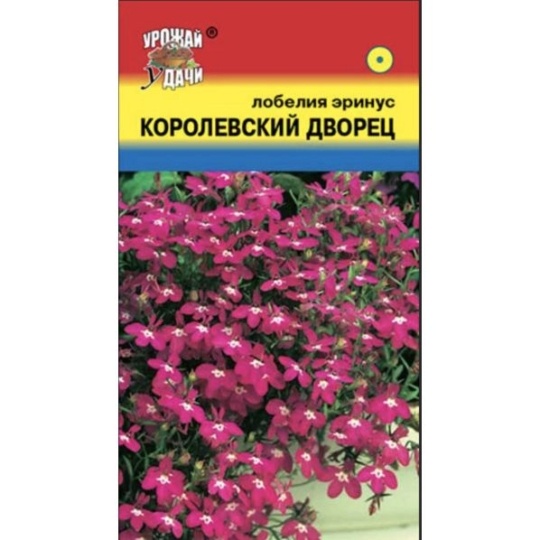 Семена Лобелия (Урожай Удачи) Королевский дворец