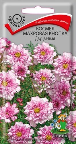 Семена Космея (Поиск) Махровая кнопка Двуцветная 0,1гр