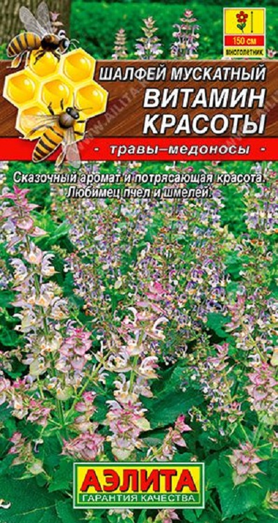 Семена Шалфей Витамин красоты (Аэлита) 0,2г