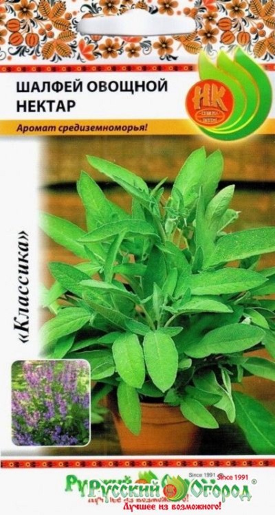 Семена Шалфей Нектар овощной (НК)