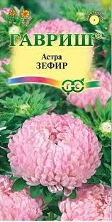 Семена Астра (Гавриш) Зефир
