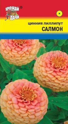 Семена Цинния (Урожай Удачи) Лилипут Салмон 0,3г