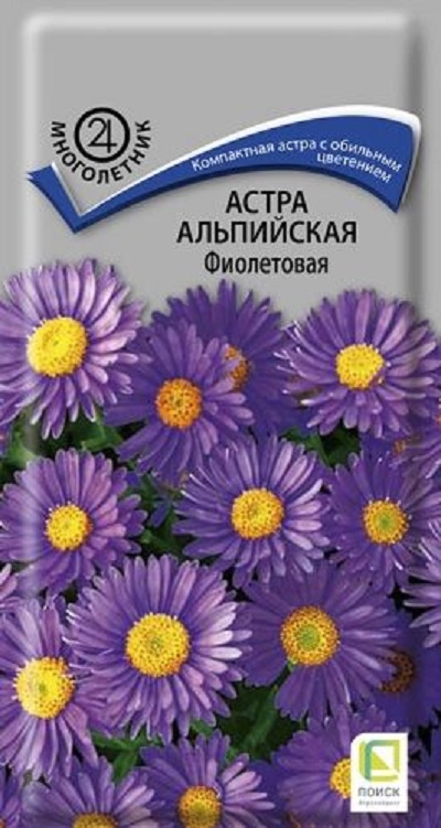 Семена Астра (Поиск) Альпийская Фиолетовая 0,04гр