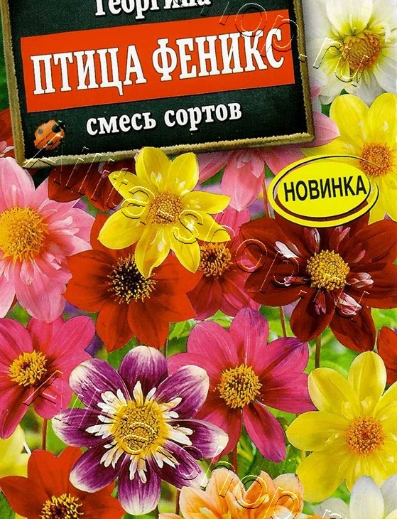 934cb0080ca37d7ec1ea8de04e1b1b7d