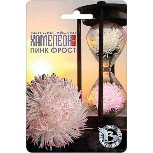 Семена Астра (Биотехника) Хамелеон селект Пинк Фрост 30шт