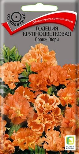 Семена Годеция (Поиск) Оранж Глори 0,2г