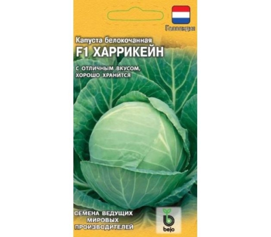 Семена Капуста б/к  Харрикейн (Гавриш)