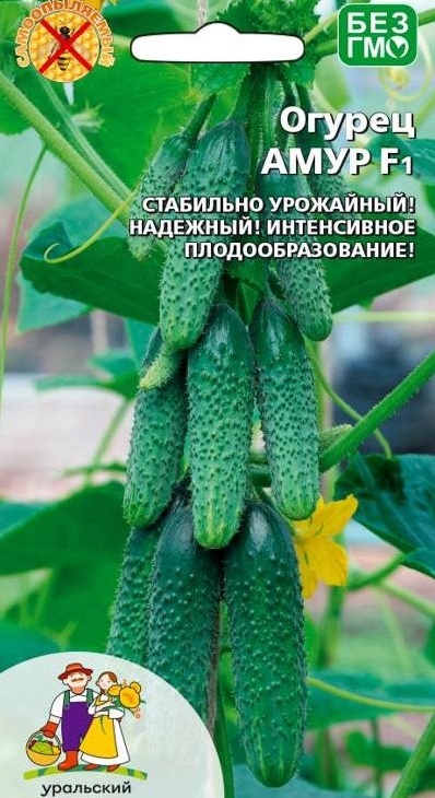 980a9423164198707c67cdf6a2a15bf8