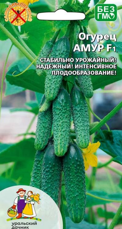 Семена Огурец Амур (УДачник) ц/п 8 шт.